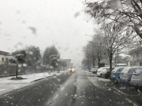 How Can UK Organic Farms Increase Visibility Through Content Marketing?